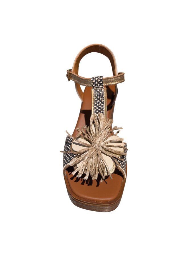 Nemonic 2498 Peacock Negro Aruba