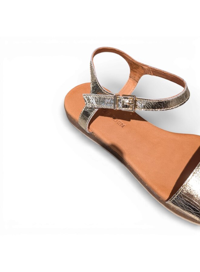 Apple of Eden Isa 21 Champagne