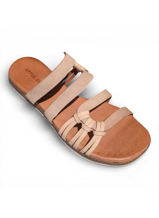 Apple of Eden Ivee 41 Bege