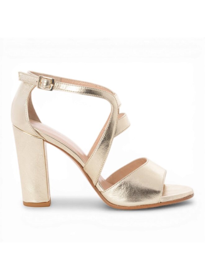 Moments by Content Magnolia - Champagne