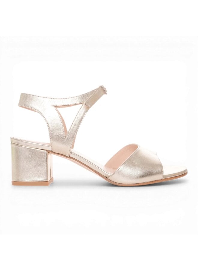 Moments by Content Ceda - Champagne