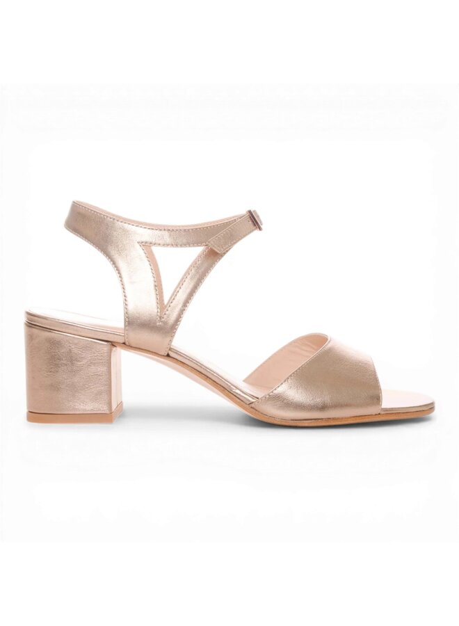 Moments by Content Ceda - Shiny Rose