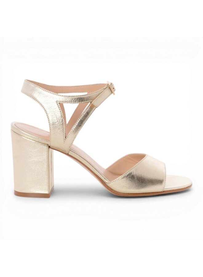 Moments by Content Cassia - Champagne