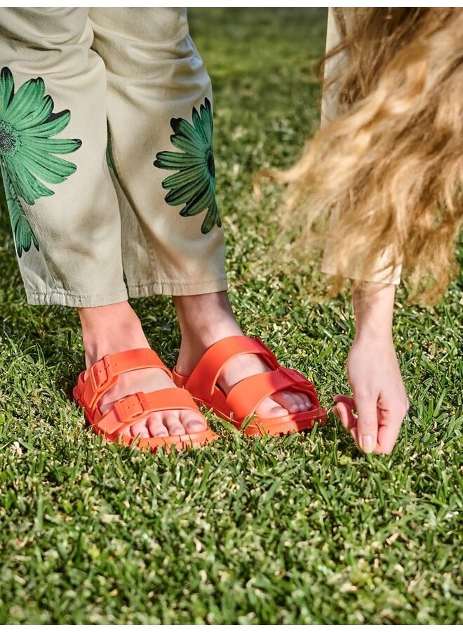 Lemon Jelly Elise Orange Peel