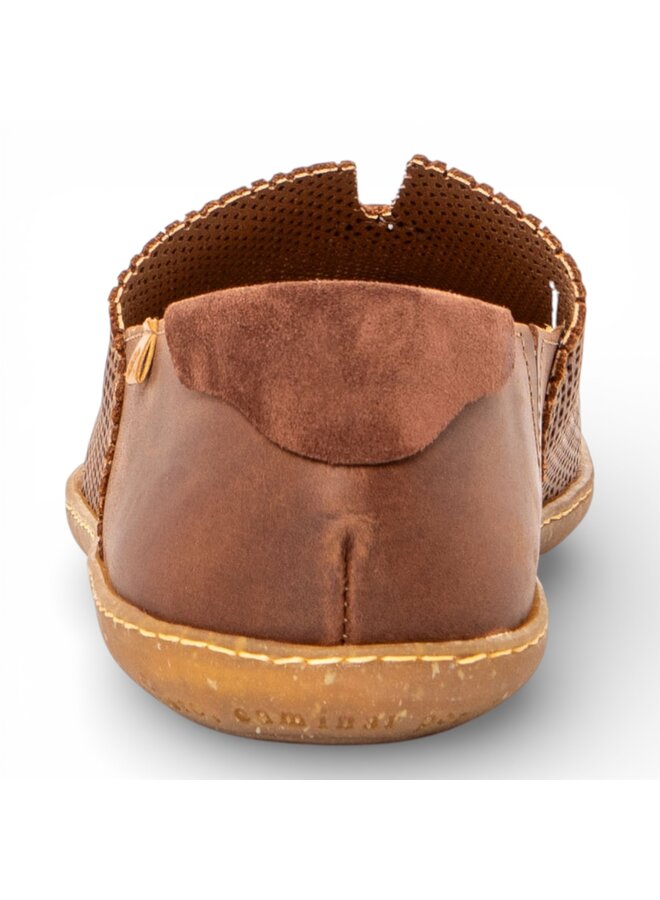 El Naturalista N275R Arizona Perforada Terra/El Viajero