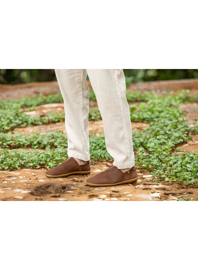 El Naturalista N275R Arizona Perforada Terra/El Viajero