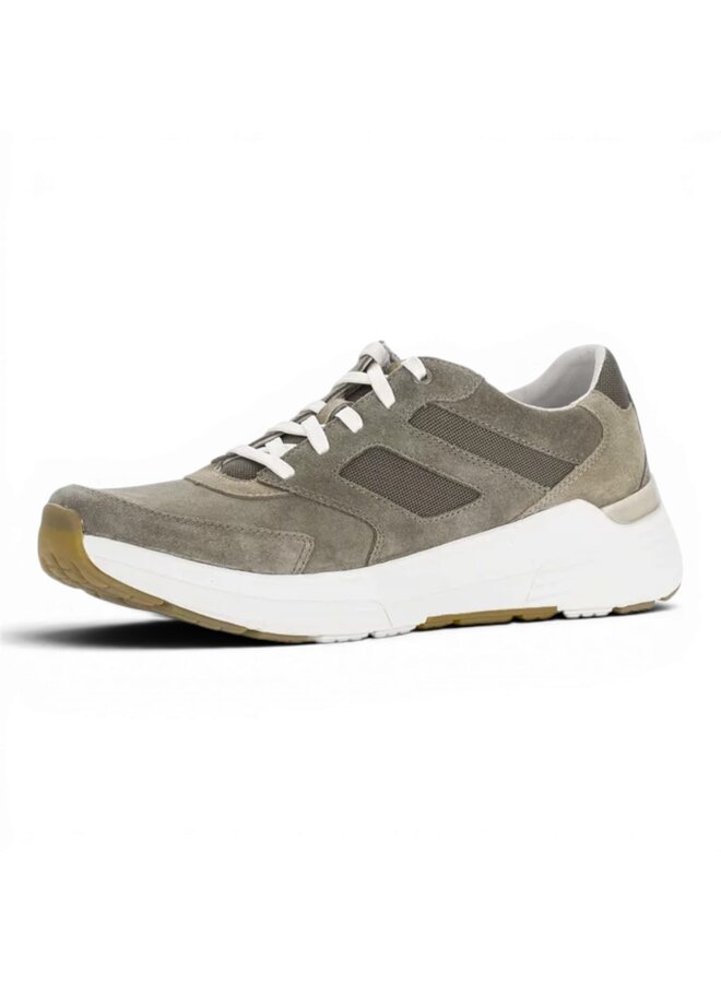 Gabor Rollingsoft mannen 8012.10.03 Dreamvelour/Mesh, Tundra/Sesamo