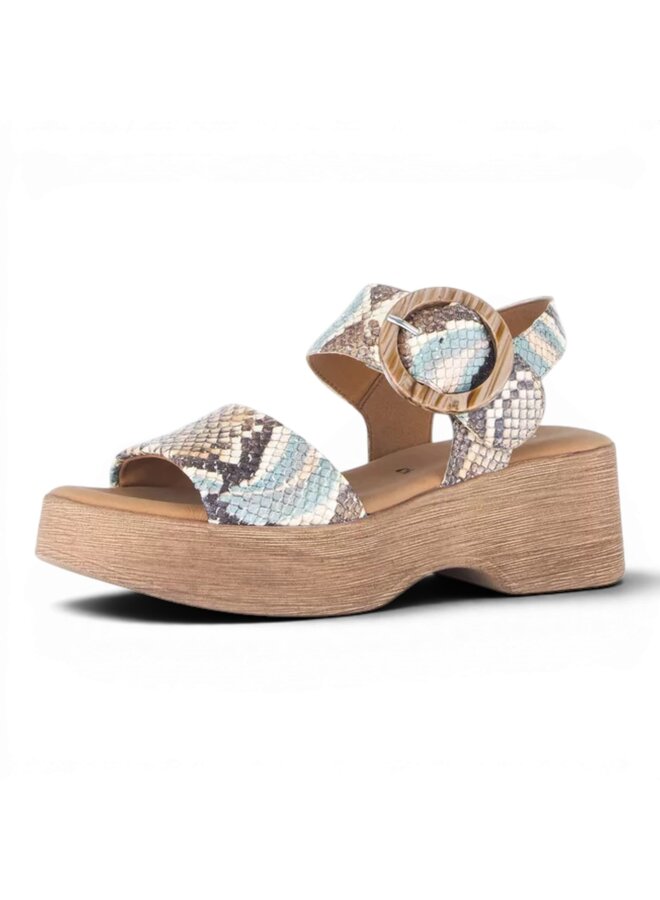 Gabor 84.520.36 Python Vecchio Cielo Combi