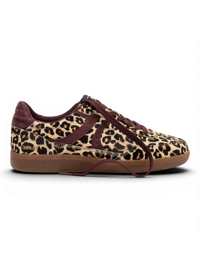 Boax Studio Trace 5003 Leopard