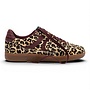 Boax Studio Trace 5003 Leopard