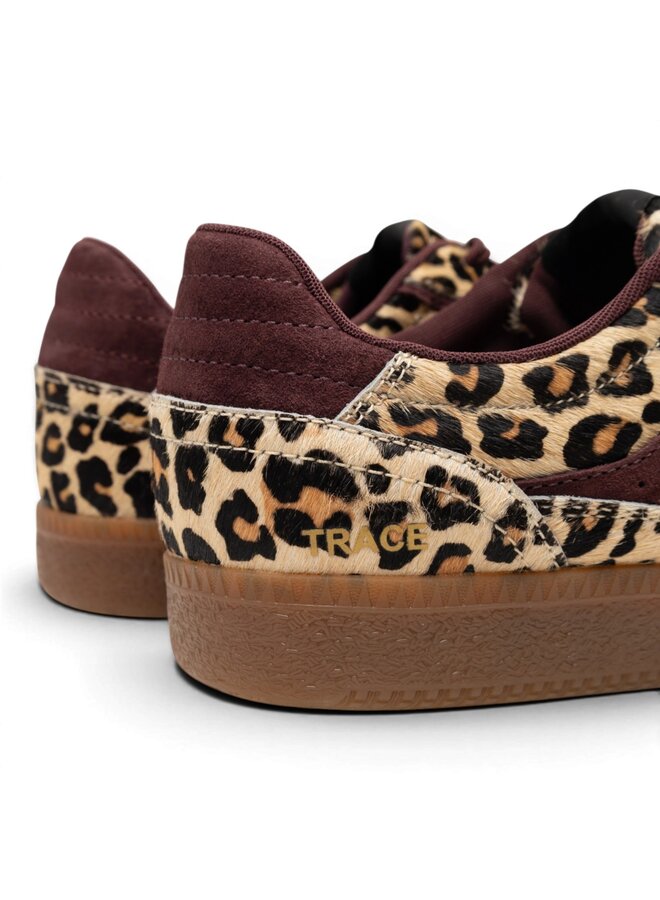 Boax Studio Trace 5003 Leopard