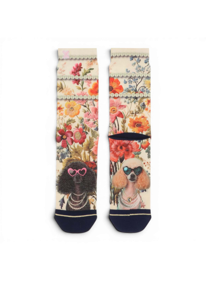 Xpooos Women Socks Poodles 301012029