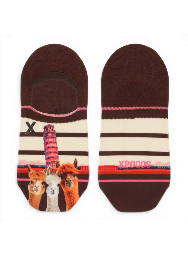 Xpooos Women Footies Pisa 301022034