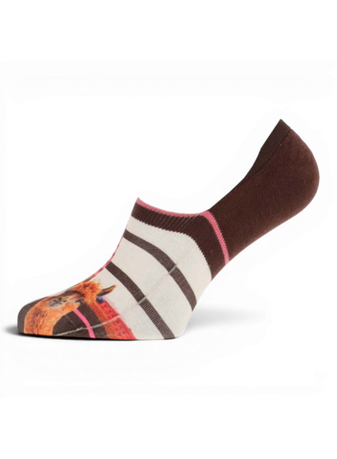 Xpooos Women Footies Pisa 301022034