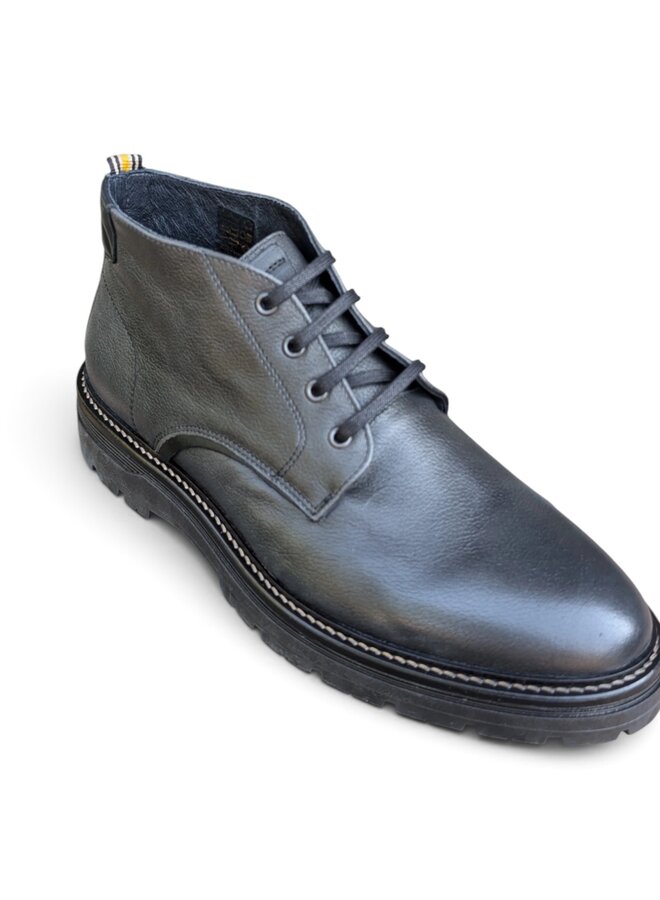 Ambitious Bert Anthracite