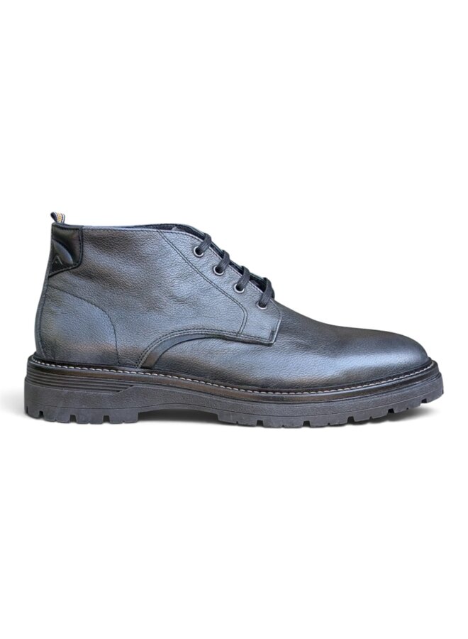 Ambitious Bert Anthracite