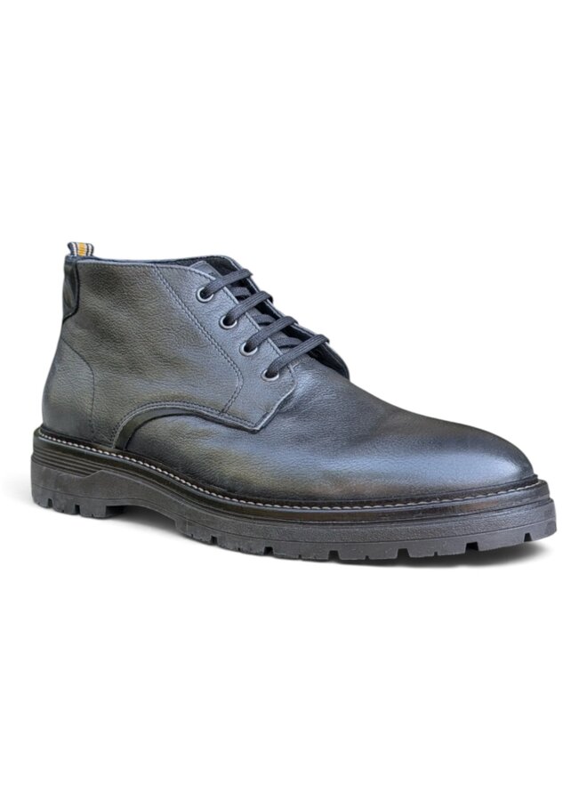 Ambitious Bert Anthracite