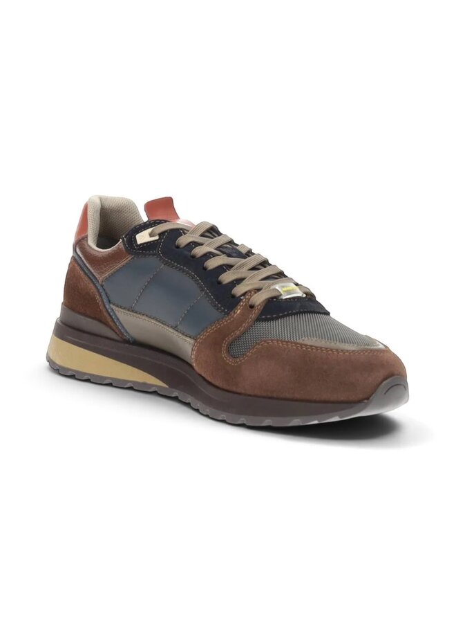 Ambitious Teddy Dk Brown/Grey