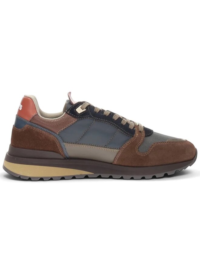 Ambitious Teddy Dk Brown/Grey