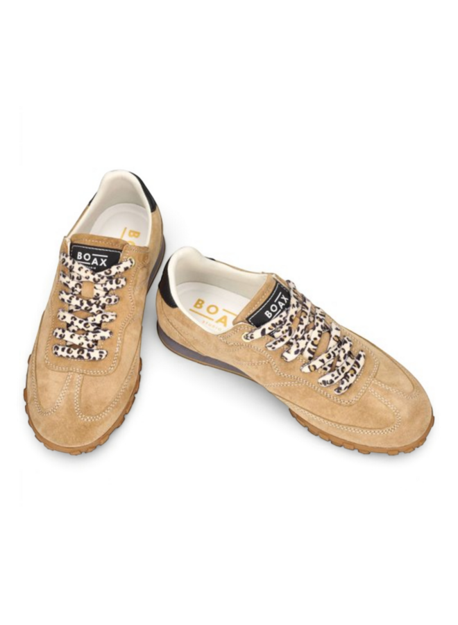 Boax Studio Strike 3019 Camel