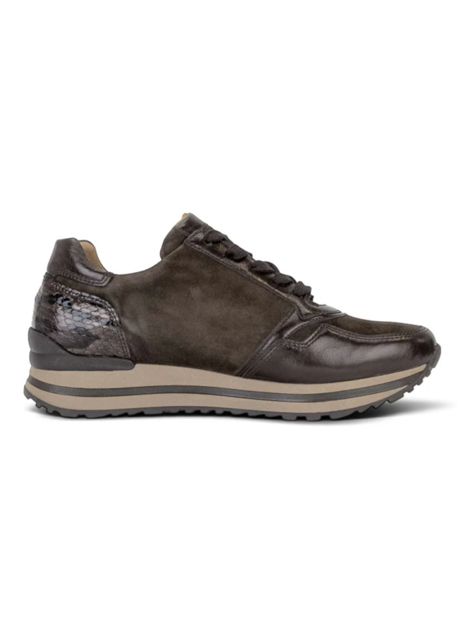 Gabor 6021.01.005 Samtch/Royal/BoaLack Brown