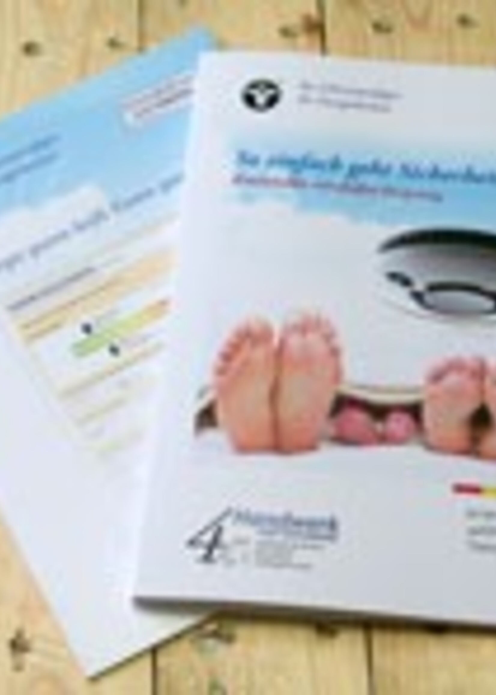 Mappen "Energieausweis" m. Klemmleiste