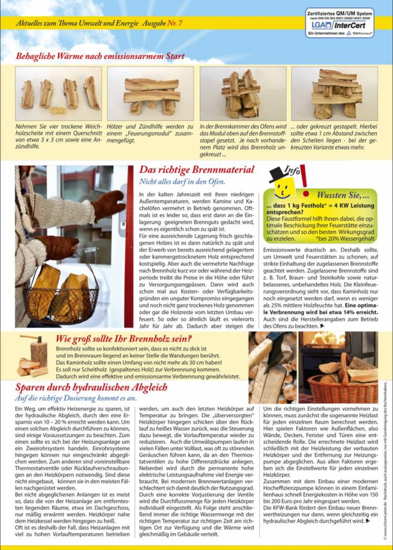 Umwelt & Energie Info 7 "Heizen mit Holz, Rauchwarnmelder"