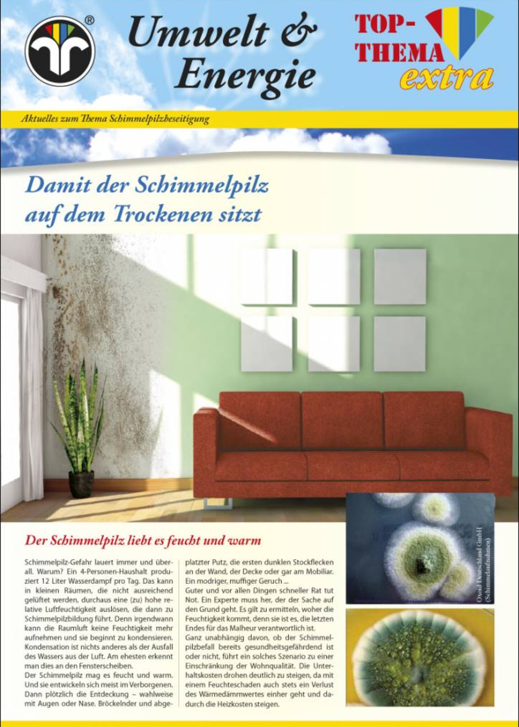 Umwelt & Energie Info extra Schimmel