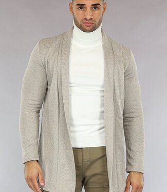 NEW0610 Beige Gemêleerd Heren Jasje met Zigzag Patroon