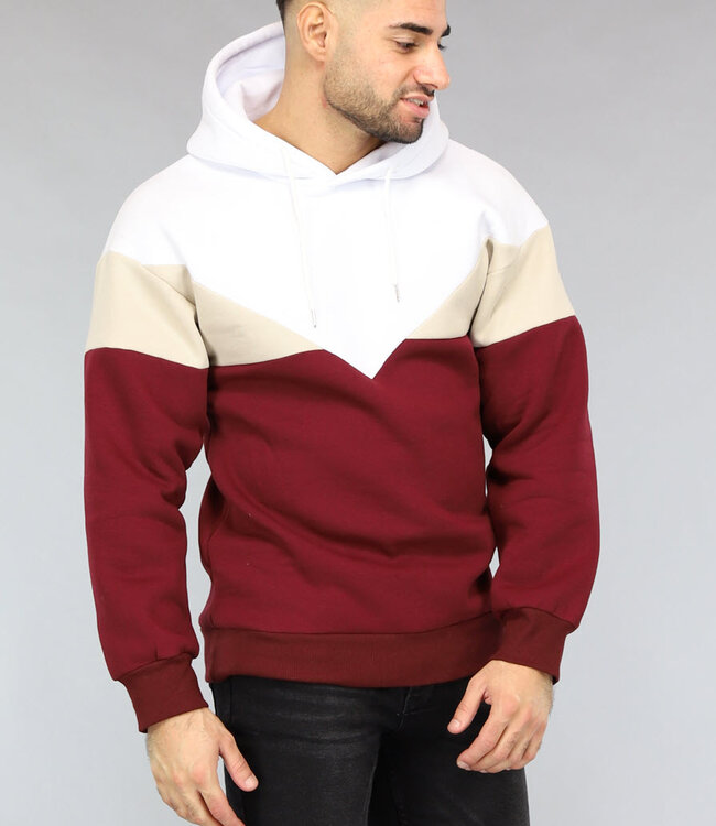Multicolor Heren Hoodie Zonder Zak
