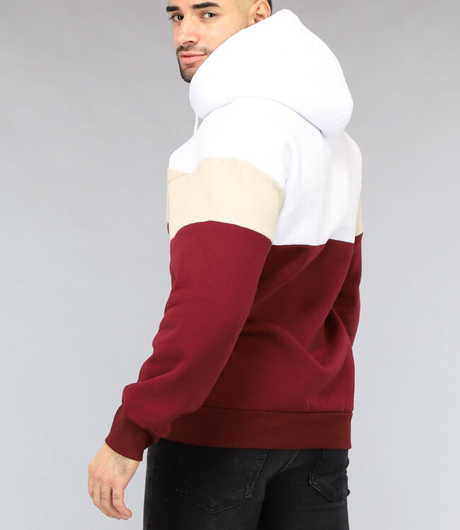 Multicolor Heren Hoodie Zonder Zak