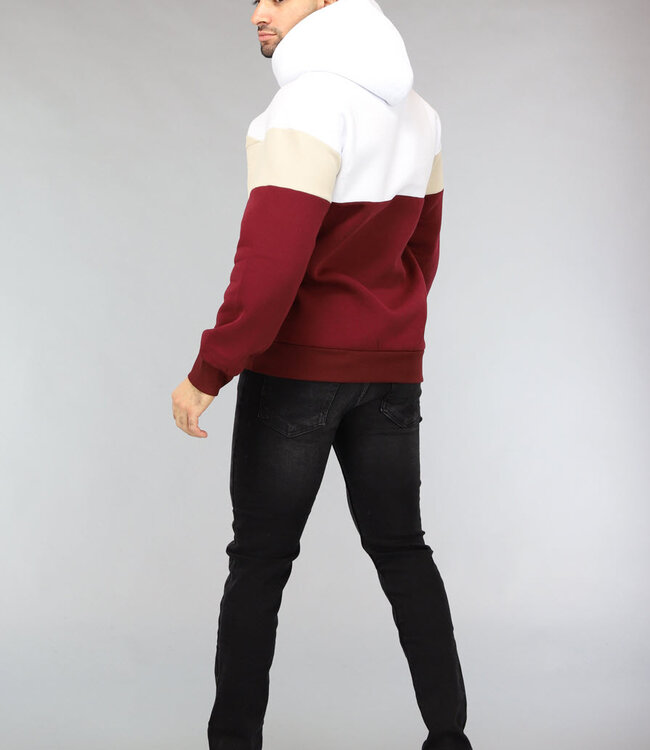 Multicolor Heren Hoodie Zonder Zak