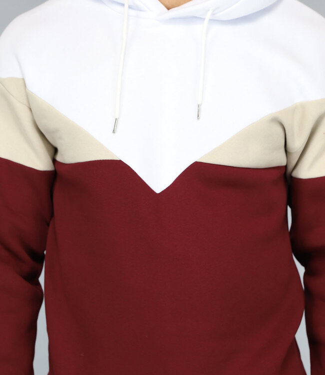 Multicolor Heren Hoodie Zonder Zak