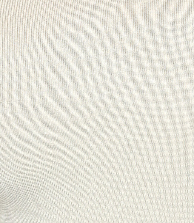 Gebreide Heren Pullover met V Hals in Beige