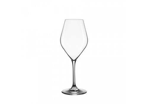 Lehmann Champagne Absolus - 32