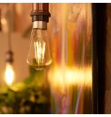 SHELLY Shelly Vintage ST64 WiFi Smartbulb