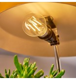 SHELLY Shelly Vintage A60 WiFi Smartbulb