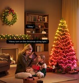 Govee Govee Christmas String Lights 2 (20m)