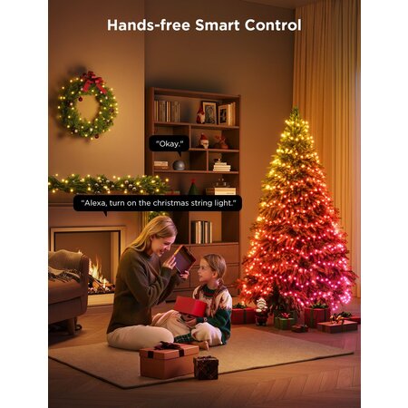 Govee Govee Christmas String Lights 2 (20m)