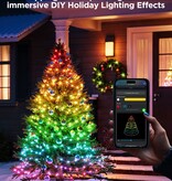 Govee Govee Christmas String Lights 2 (20m)