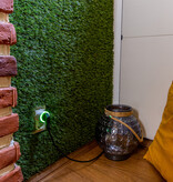 SHELLY Shelly Plug S Gen3 Matter Zwart