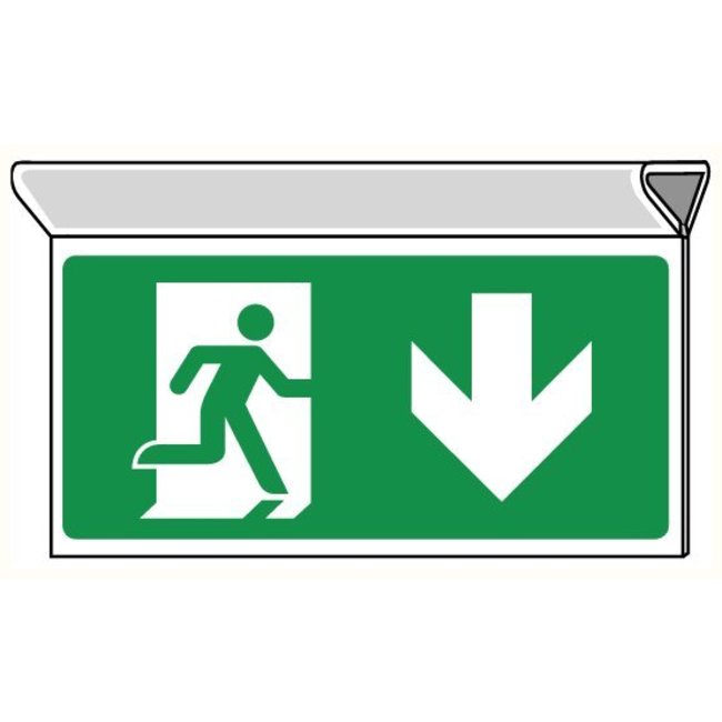 Pikt-o-Norm Pictogramme de sécurité sortie de secours en bas