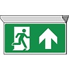 Pikt-o-Norm Pictogramme de sécurité sortie de secours tout droit