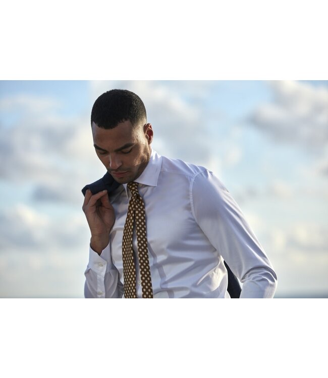 Stenstroms Das, Zijde, Goudbruin met Off White Patroon