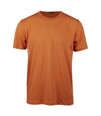 Stenstroms Stenstroms, Katoenen T-Shirt,  Korte Mouw, Oranje, Fitted Body