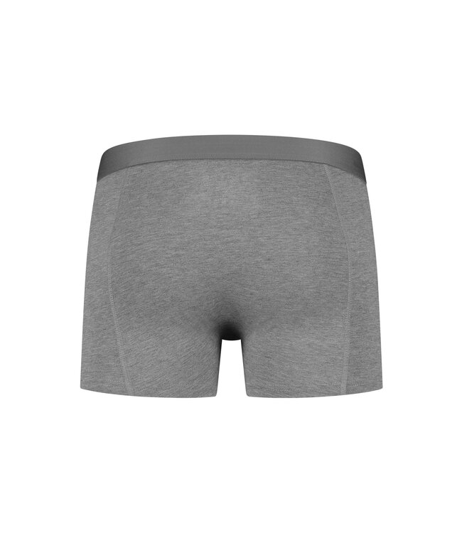 Slater Ondergoed, 2-Pack, Bamboo Boxer Shorts, Grijs