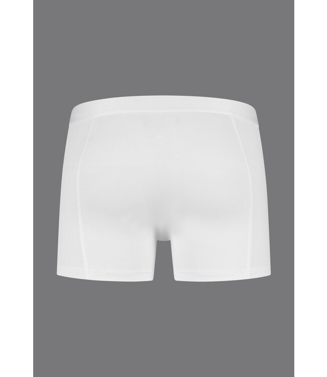 Slater Ondergoed, 2-Pack, Bamboo Boxer Shorts, Wit