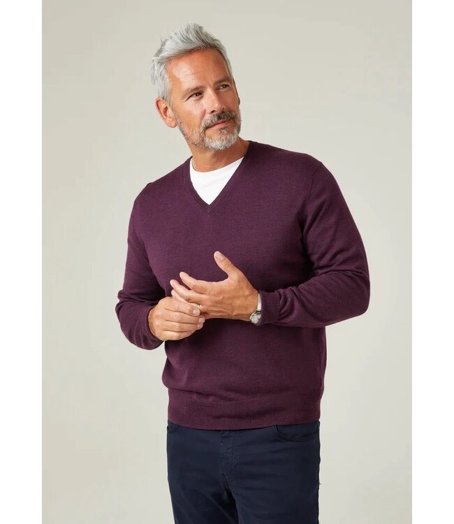 Alan Paine Trui, V-Hals, Merino Wol,  Aubergine