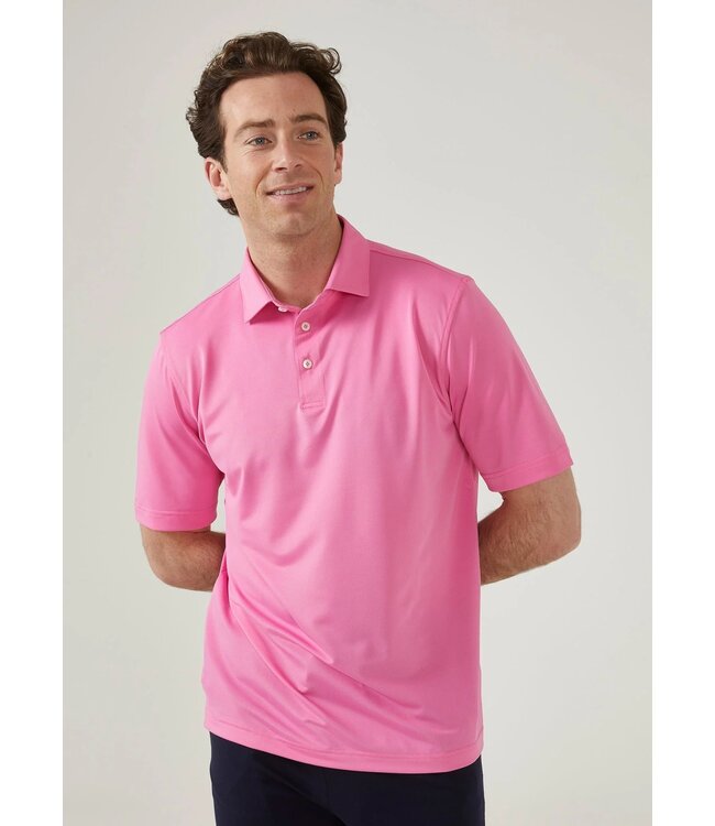 Alan Paine Polo, Performance, Sports Fit, Rockbourne, Roze