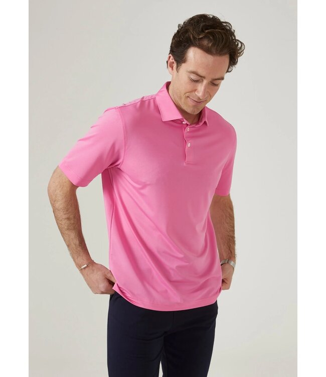 Alan Paine Polo, Performance, Sports Fit, Rockbourne, Roze